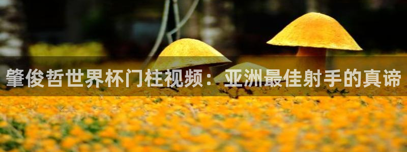 世界杯直播网：肇俊哲世界杯门柱视频：亚洲最佳射手的真谛