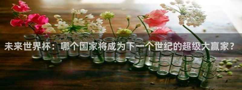 世界杯足球：未来世界杯：哪个国家将成为下一个世纪的超级大赢家？