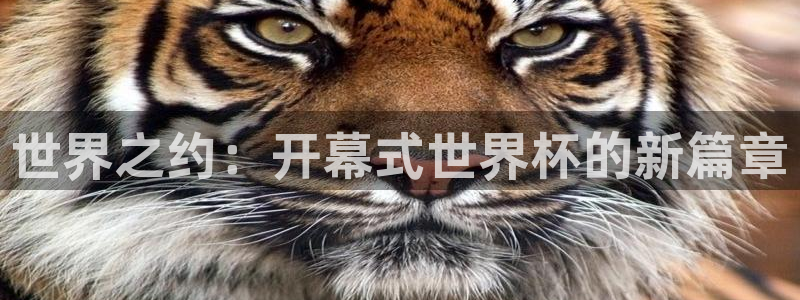 女足世界杯直播：世界之约：开幕式世界杯的新篇章