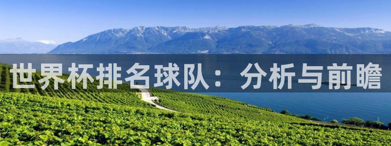 世界杯预选赛：世界杯排名球队：分析与前瞻
