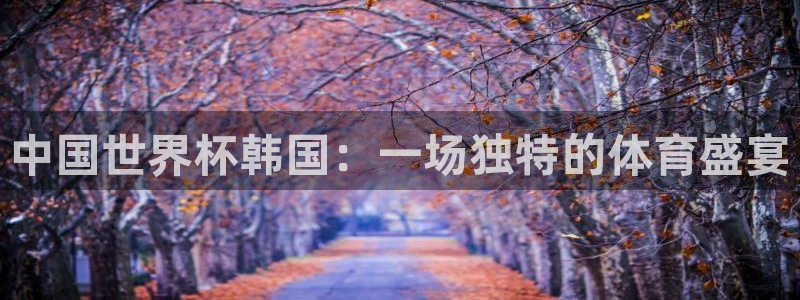 世预赛直播：中国世界杯韩国：一场独特的体育盛宴