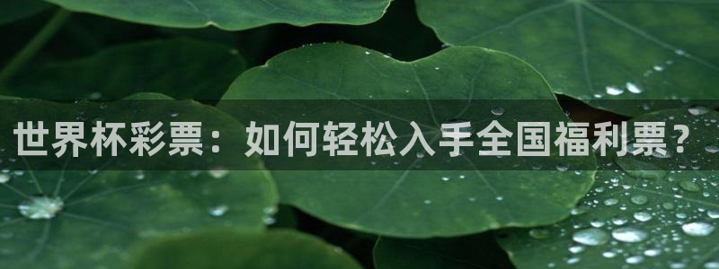 中国 世界杯：世界杯彩票：如何轻松入手全国福利票？