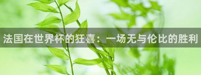 足球世界杯赛程：法国在世界杯的狂喜：一场无与伦比的胜利