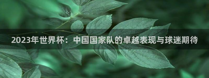 2026世界杯赛制：2023年世界杯：中国国家队的卓越表现与球迷期待