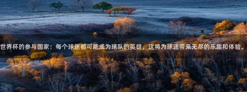 美洲杯直播：世界杯的参与国家：每个球迷都可能成为球队的英雄，这将为球迷带来无尽的乐趣和体验。
