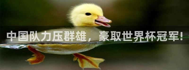 2026年世界杯：中国队力压群雄，豪取世界杯冠军!