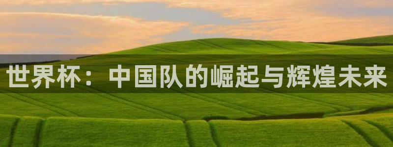 2026世界杯：世界杯：中国队的崛起与辉煌未来