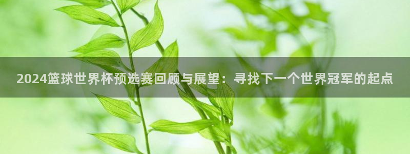 世界杯今年：2024篮球世界杯预选赛回顾与展望：寻找下一个世界冠军的起点