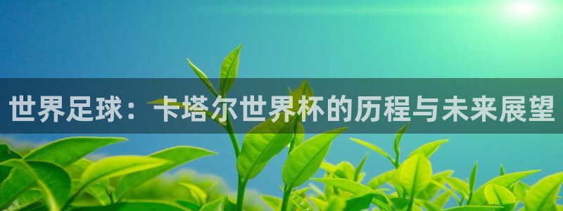 世界杯视频：世界足球：卡塔尔世界杯的历程与未来展望